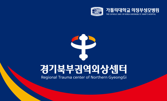 경기북부권역외상센터 CI
