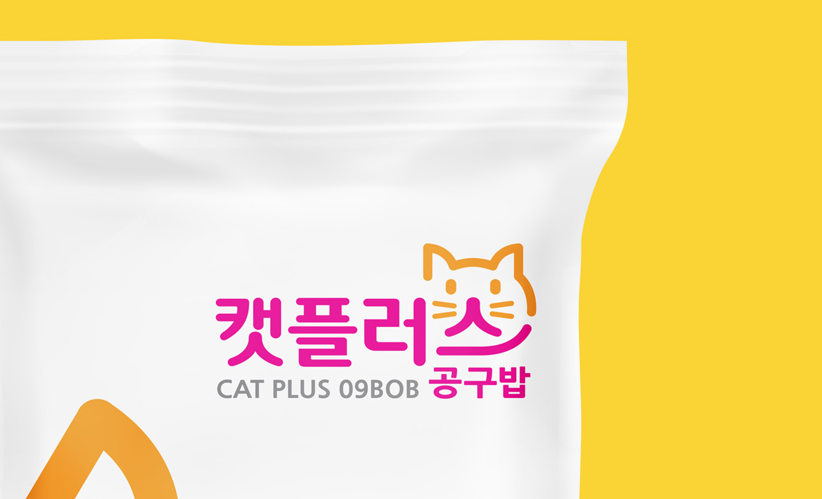 캣플러스 BI 리뉴얼